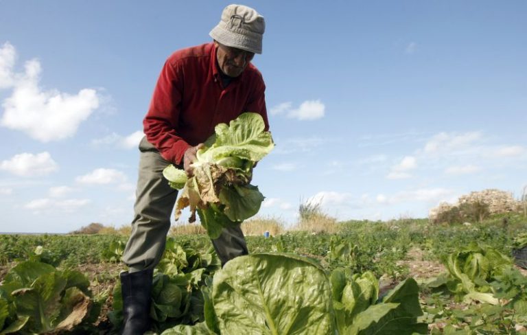 Portugal sofre de contaminação crónica de herbicidas com glifosato